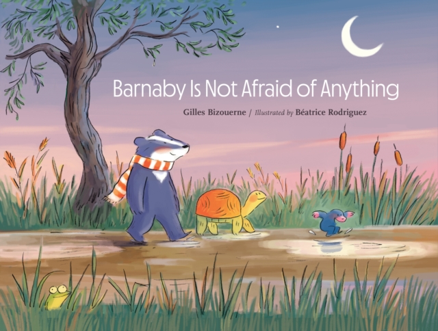 Barnaby Is Not Afraid of Everything, EPUB eBook