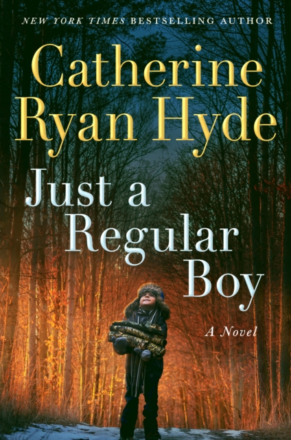 Just a Regular Boy : A Novel, Paperback / softback Book