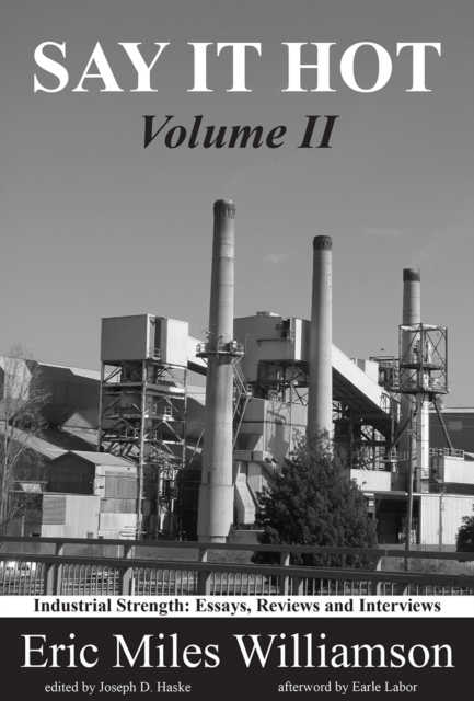 Say It Hot, Volume II: : Industrial Strength Essays on American Writers, EPUB eBook
