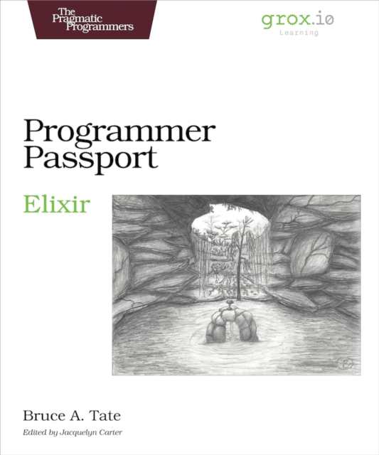 Programmer Passport: Elixir, EPUB eBook