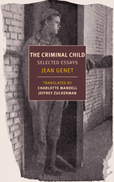 Criminal Child, EPUB eBook