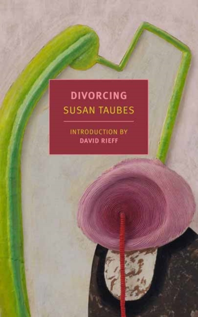 Divorcing, Paperback / softback Book