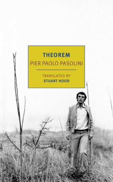 Theorem, EPUB eBook