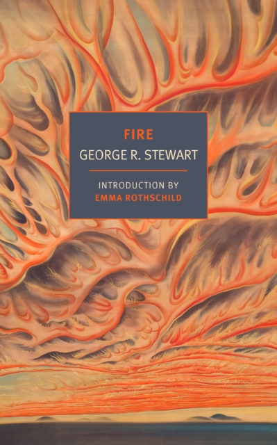Fire, Paperback / softback Book