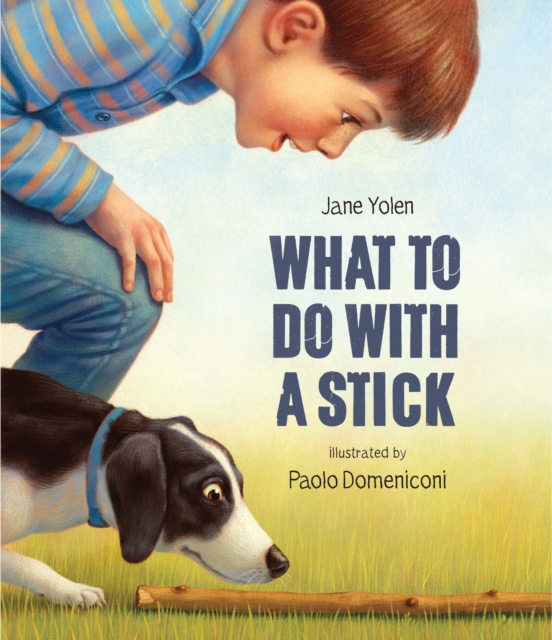 What to do with a Stick : A remarkable toy, Paperback / softback Book