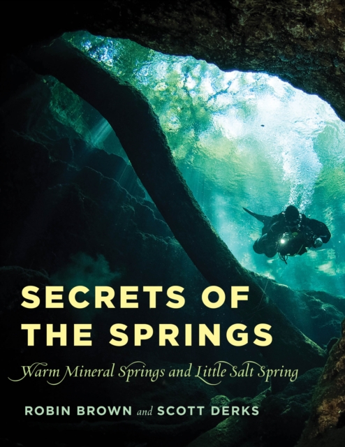 Secrets of the Springs : Warm Mineral Springs and Little Salt Spring, Paperback / softback Book