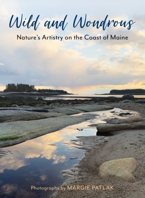 Wild and Wondrous : Nature's Artistry on the Coast of Maine, EPUB eBook