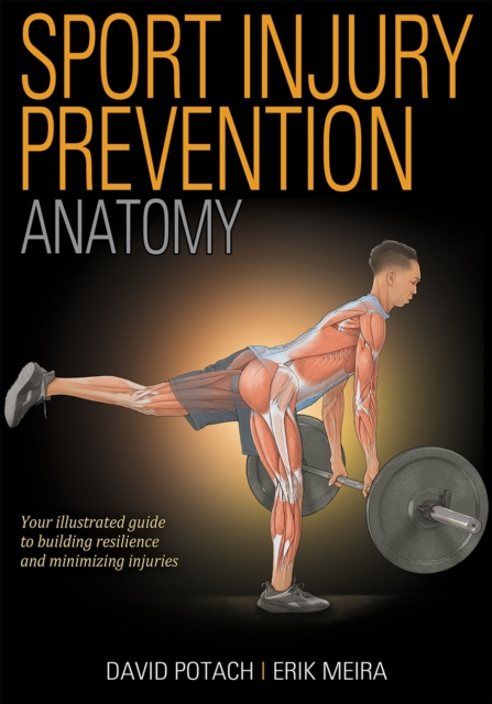 Sport Injury Prevention Anatomy, Paperback / softback Book