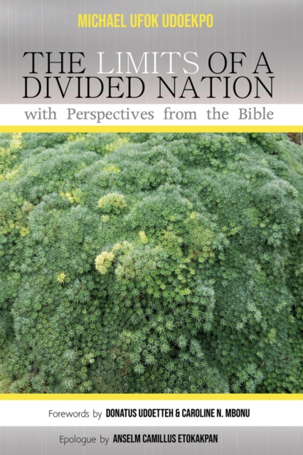 The Limits of a Divided Nation with Perspectives from the Bible, EPUB eBook