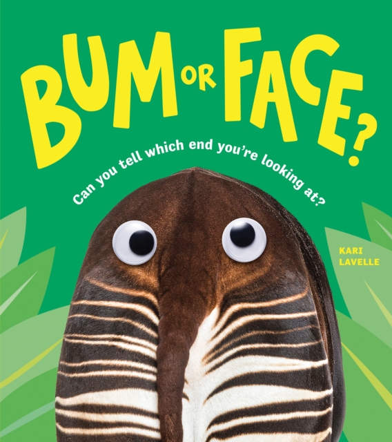 Bum or Face, Paperback / softback Book