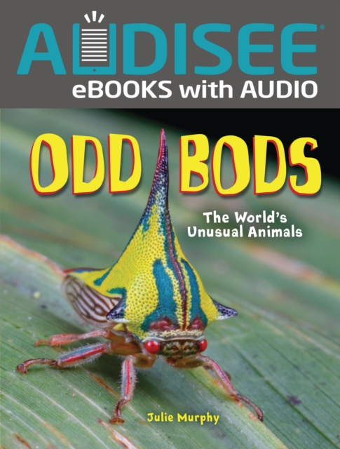 Odd Bods : The World's Unusual Animals, EPUB eBook