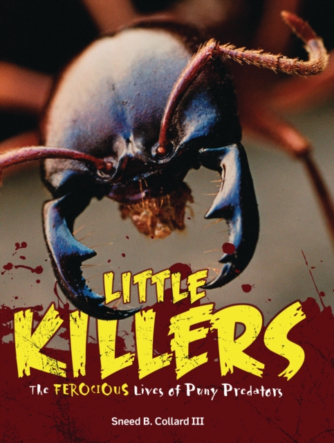 Little Killers : The Ferocious Lives of Puny Predators, EPUB eBook