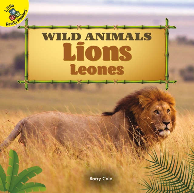 Lions : Leones, PDF eBook