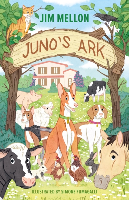 Juno's Ark, Paperback / softback Book