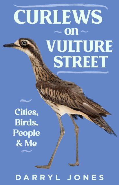 Curlews on Vulture Street : Cities, Birds, People and Me, Paperback / softback Book