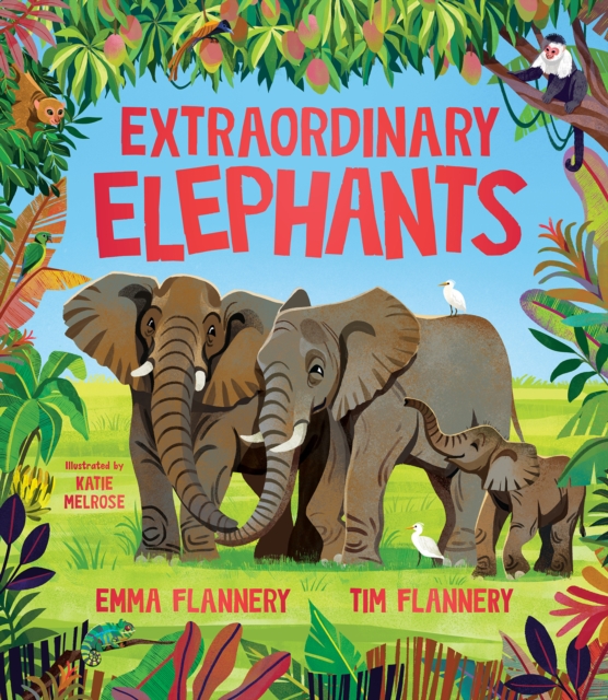 Extraordinary Elephants, EPUB eBook