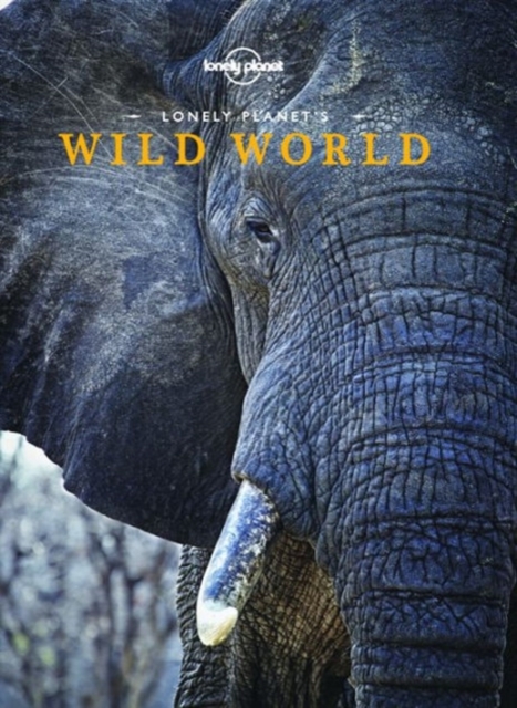 Lonely Planet's Wild World, EPUB eBook