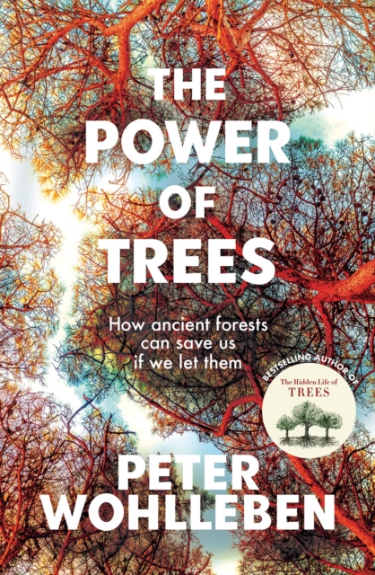 The Power of Trees : How Ancient Forests Can Save Us If We Let Them, EPUB eBook
