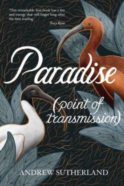 Paradise : Point of Transmission, Paperback / softback Book
