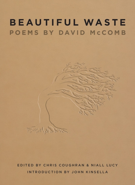 Beautiful Waste : Poems by David McComb, EPUB eBook