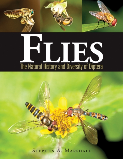 Flies: The Natural History and Diversity of Diptera, Hardback Book