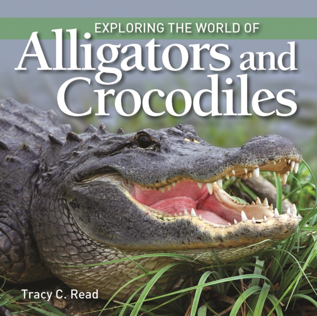 Exploring the World of Alligators and Crocodiles, Paperback / softback Book