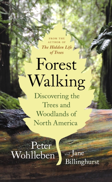 Forest Walking : Discovering the Trees and Woodlands of North America, EPUB eBook