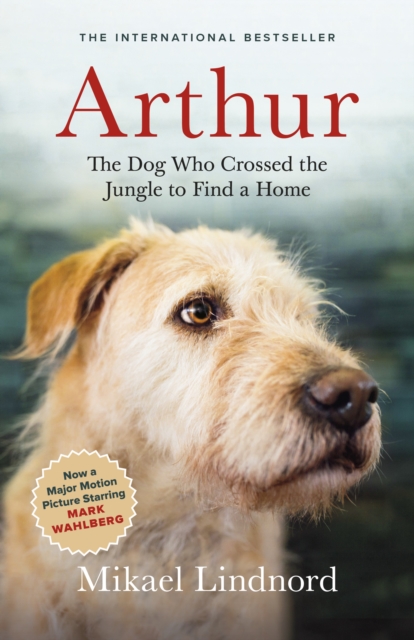 Arthur : The Dog who Crossed the Jungle to Find a Home, EPUB eBook