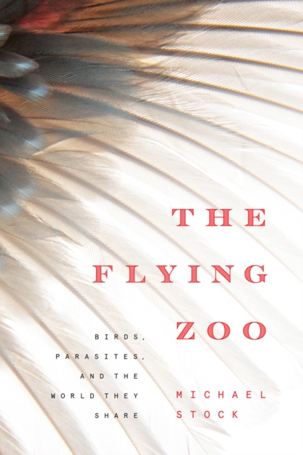 The Flying Zoo : Birds, Parasites, and the World They Share, Paperback / softback Book