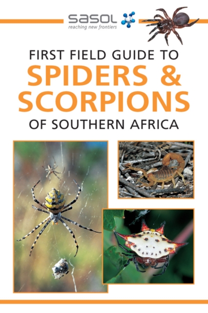 Sasol First Field Guide to Spiders & Scorpions of Southern Africa, EPUB eBook