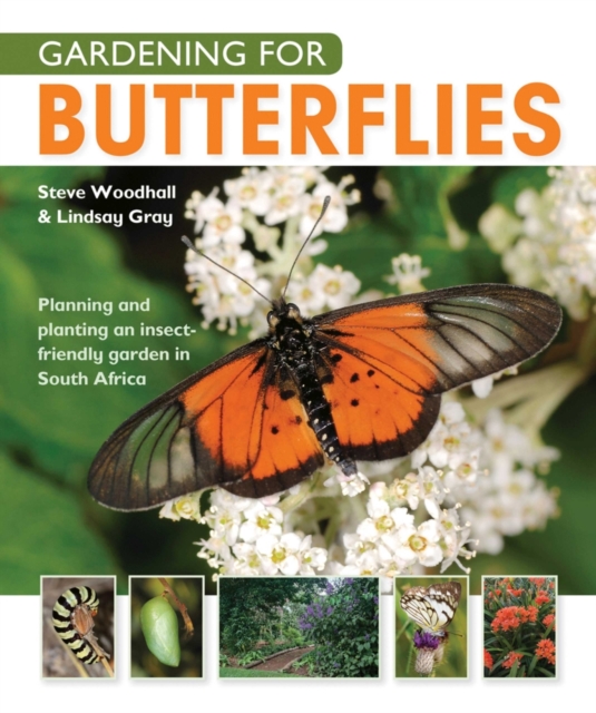 Gardening for Butterflies : Planning and planting an insect-friendly garden, EPUB eBook