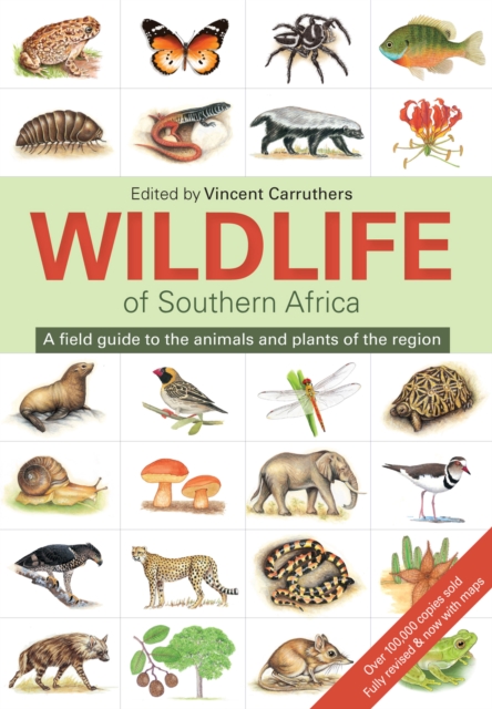 The Wildlife of Southern Africa, PDF eBook