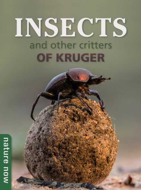 Insects and other Critters of Kruger : Nature Now, EPUB eBook
