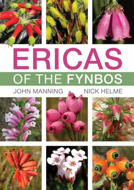 Ericas of the Fynbos, Paperback / softback Book