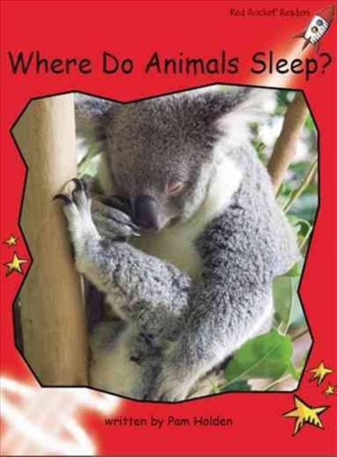 Red Rocket Readers : Early Level 1 Non-Fiction Set C: Where Do Animals Sleep?, Paperback / softback Book