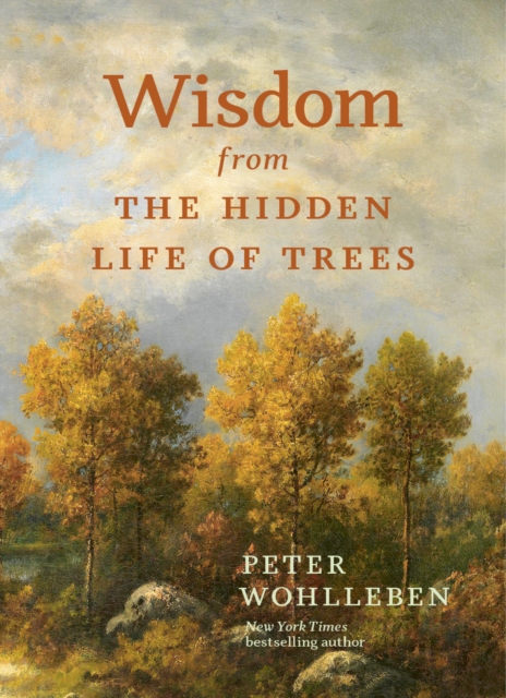 Wisdom from the Hidden Life of Trees, Hardback Book