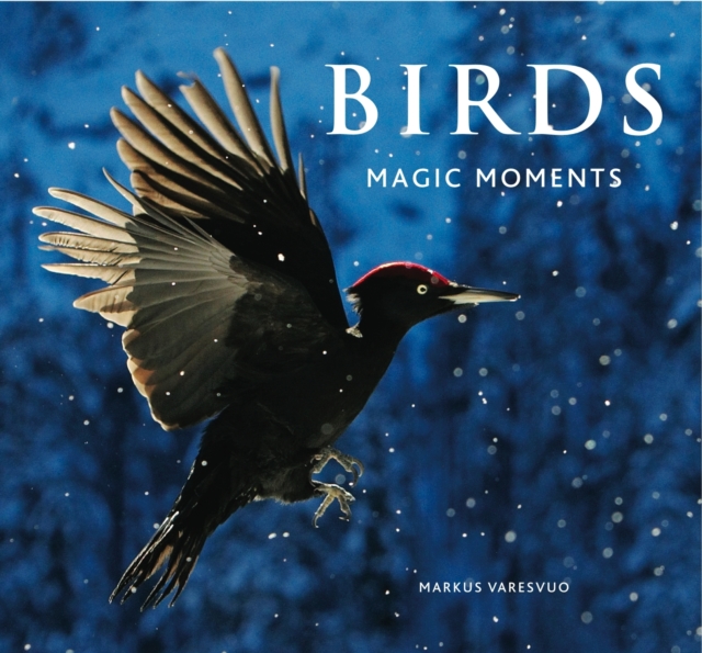 Birds : Magic Moments, Hardback Book
