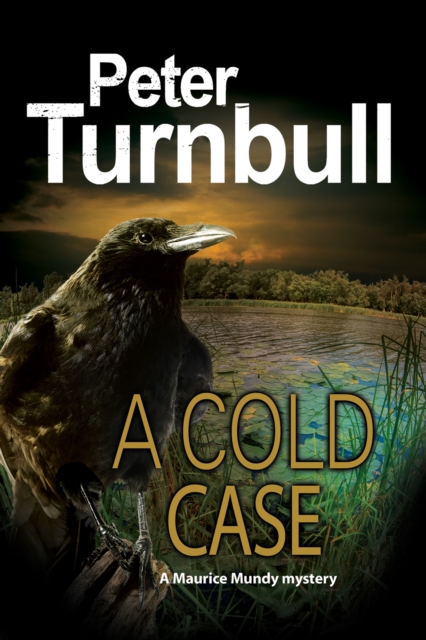 Cold Case, A, EPUB eBook