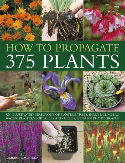 How to Propagate 375 Plants, Paperback / softback Book