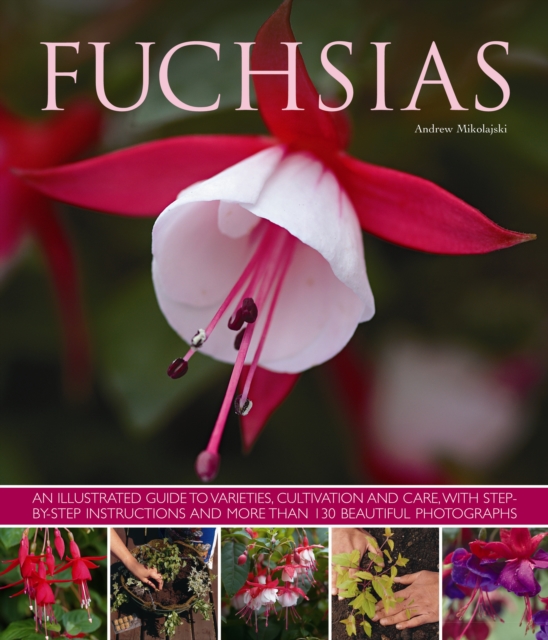 Fuchsias : an Illustrated Guide to Varieties, Cultivation and Care, with Step-by-step Instructions and More Than 130 Beautiful Photographs, Paperback / softback Book