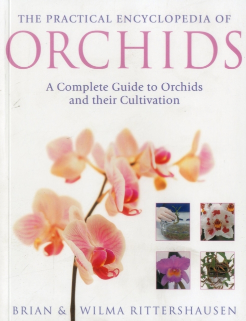 The Practical Encyclopedia of Orchids, Paperback Book
