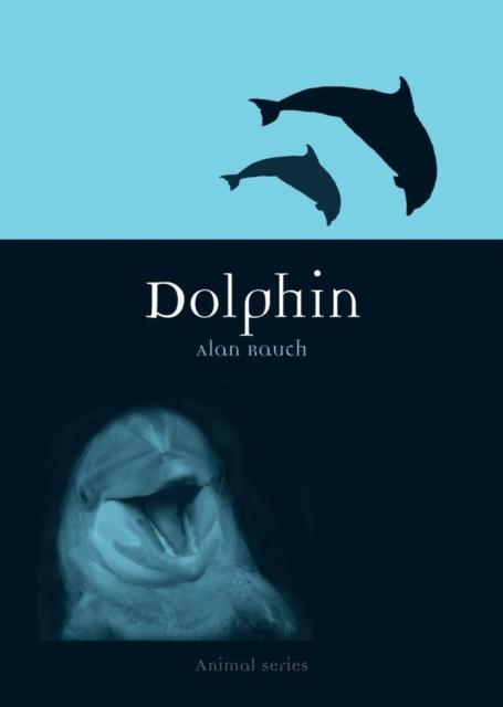 Dolphin, Paperback / softback Book