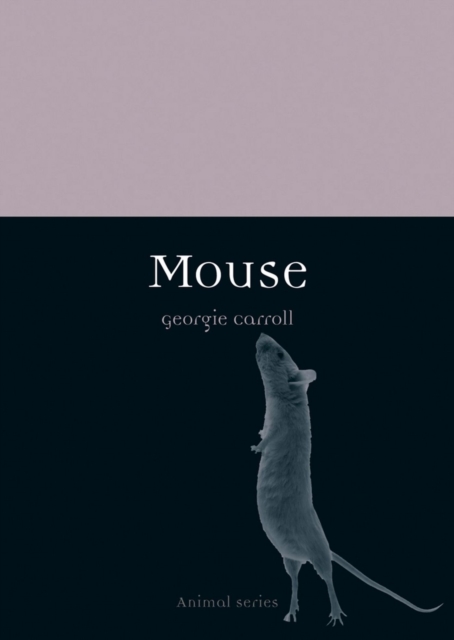 Mouse, Paperback / softback Book