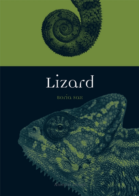 Lizard, EPUB eBook