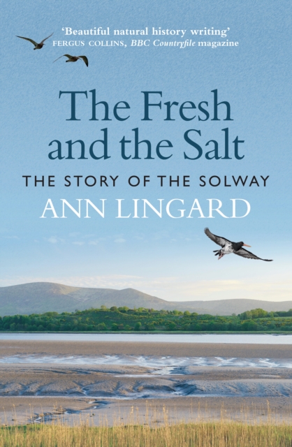 The Fresh and the Salt : The Story of the Solway, Paperback / softback Book
