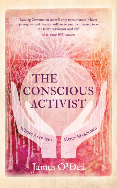 The Conscious Activist : Where Activism Meets Mysticism, Paperback / softback Book