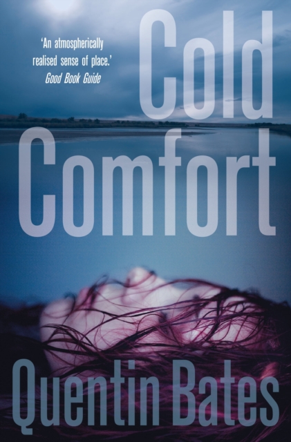 Cold Comfort : A chilling and atmospheric crime thriller full of twists, EPUB eBook