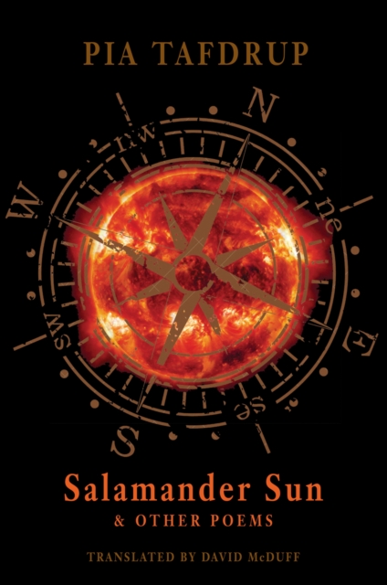 Salamander Sun and Other Poems, Paperback / softback Book