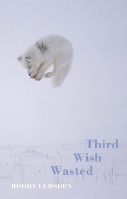 Third Wish Wasted, EPUB eBook