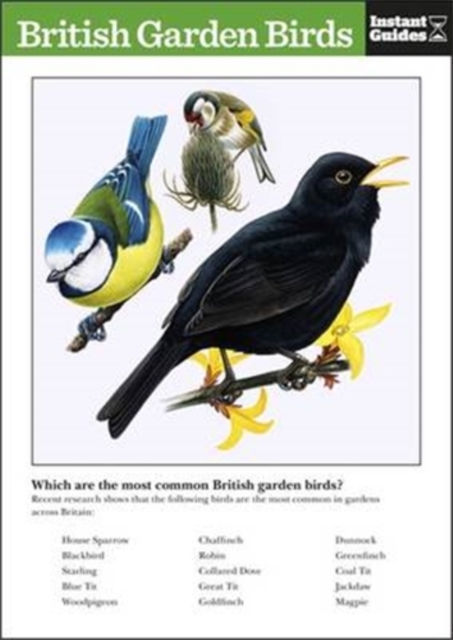British Garden Birds : The Instant Guide, Paperback / softback Book